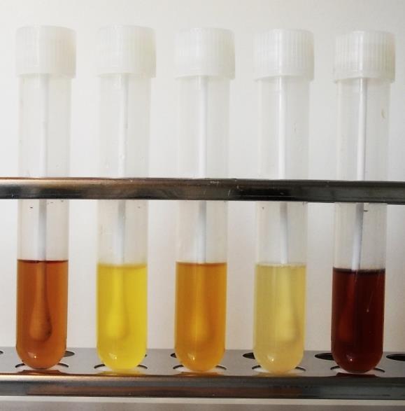 FastOrange-B-Tubes-visual-confirmation-of-contamination